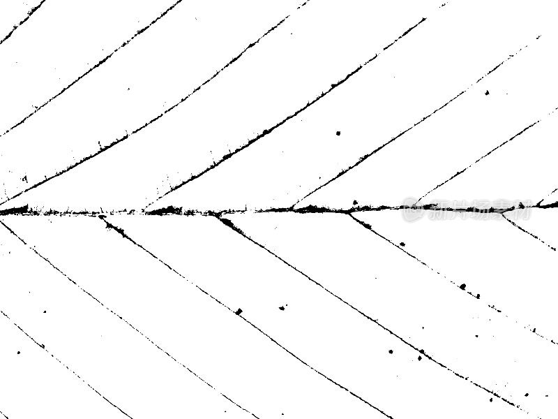 叶子-垃圾纹理。黑色灰尘Scratchy Pattern。抽象的背景。矢量设计作品。变形的效果。裂缝。